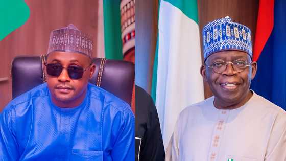 Former Kano LG boss lists Tinubu's key projects in the north, knocks Kwankwaso