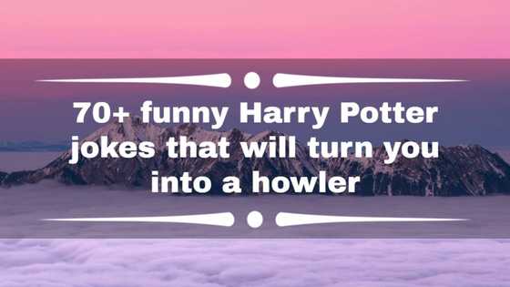 70+ funny Harry Potter jokes that will turn you into a howler