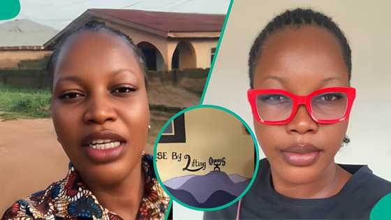 Lady shares moment her admirer repainted her room 1 month after he met her, people react