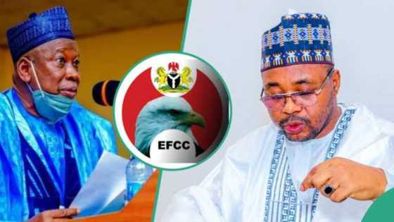 Kano: Kotu Ta Yi Hukunci Kan EFCC, ICPC Na Kama Rimingado Saboda Binciken Bidiyon Dala, Bayanai Sun Fito