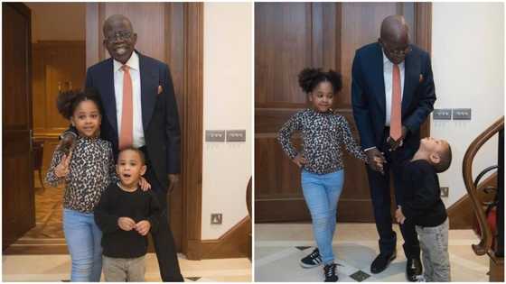 "Exactly what we told grandpa to do": Photos emerge as Tinubu plays with cute grandchildren