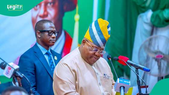 Chivido 2025: Video shows Gov Adeleke's dance moves as he steals spotlight at Davido's wedding