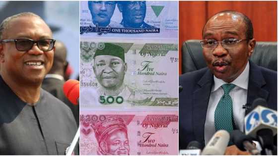 Scarcity of new notes: Peter Obi speaks on naira redesign, sends strong message to Nigerians, CBN