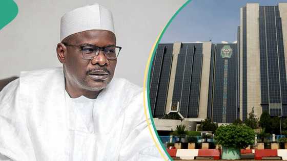 Relocation of FAAN, CBN: “My 2 daughters are married to Yoruba men”, Ndume replies 'attackers'