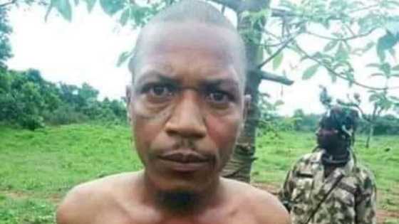 Idan kaji ki gudu, sa gudu ne bai zo ba: Kalli yadda Sojoji suka kama shugaban masu garkuwa