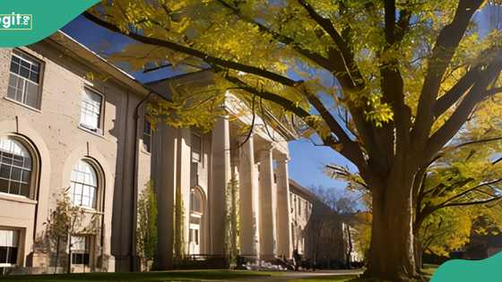 UNILAG graduate studying for Master's degree in US found dead in her apartment