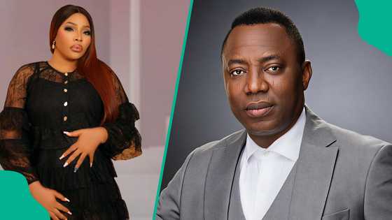 Moment Doris Ogala Created Scene After Being Denied Entry to the High Court Over Sowore Trends