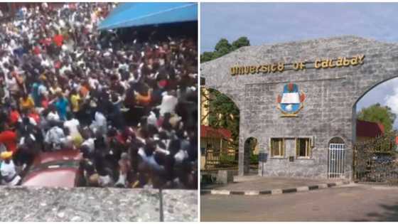 Outrage as University of Calabar staff is spotted beating up post-UTME candidates with a stick (video)