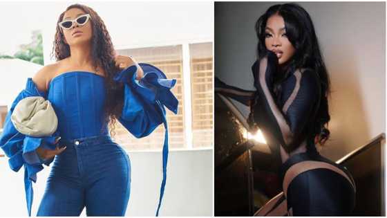 You don arrive: Sweet moment Toke Makinwa gifted her maid bags worth thousands, lady screams like a kid