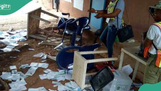 BREAKING: Fresh tension in Bayelsa, gunshots as thugs chase away voters, destroy election materials