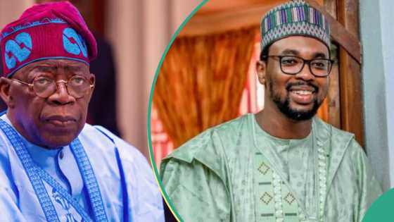 Just in: Tinubu offers fresh appointment to Ganduje’s son, details emerge