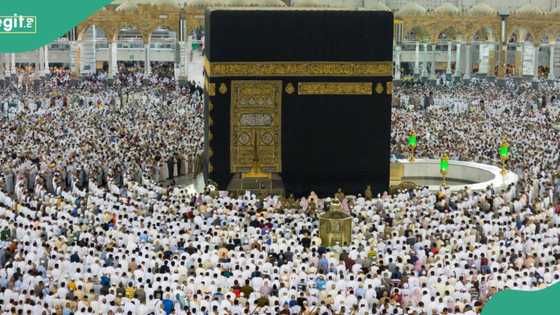 Hajj commission discloses amount it would refund to 2024 hajj pilgrims