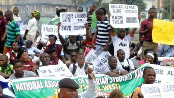 ASUU announces date for lecture-free day ahead of planned indefinite strike