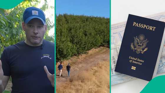 American farmer laments as his workers go into hiding over fear of ICE crackdown