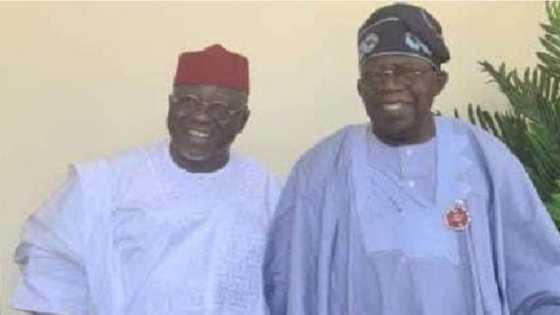 "What Tinubu promised to do for Nigerians" - Former governor reveals his conversation with APC presidential candidate