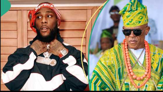 Picture of Burna Boy and Farooq Oreagba trends after the one he took with Wizkid in 2013 surfaced