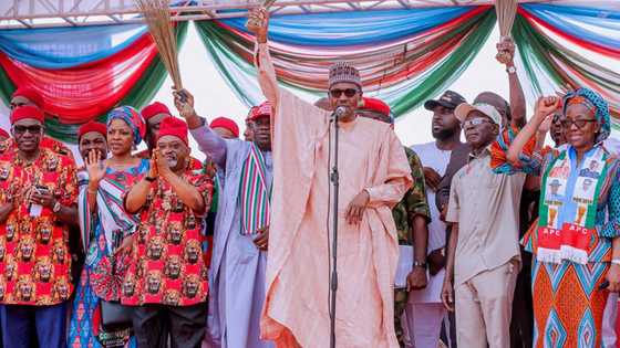 Farawa da iyawa: Takarar Shugaban kasar da Ngige zai yi a 2023 ta gamu da bakin jini