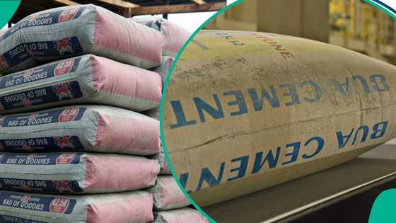 BUA, Dangote Cement dealers release fresh prices as experts compare Nigeria's cost with Africa