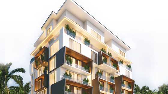 Our Goal is to Transform Nigeria's Real Estate Sector - Palton Morgan Holdings