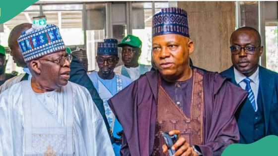 'Alamar matsala tsakanin Tinubu da Shettima,' Hadimin Osinbajo ya fito da bayanai