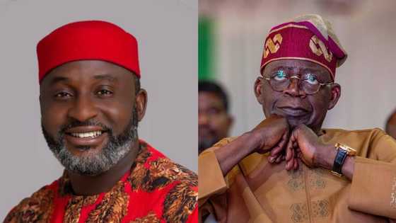 Obi losing allies as LP lawmaker who describe Tinubu 'intelligent' sparks fresh row