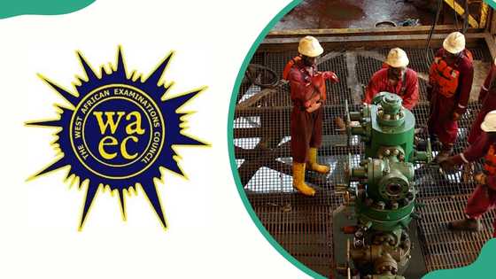 WAEC subjects for petroleum engineering and the best schools in Nigeria to study it