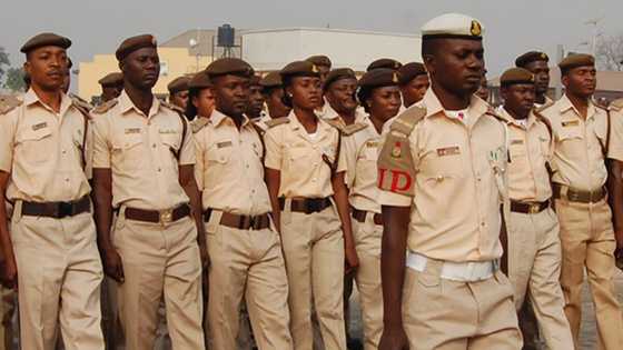 BREAKING: Immigration arrest over 200 illegal Chinese migrants in Niger state