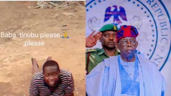 "Don't let us regret voting for you": Man prostrate, begs Tinubu in viral video