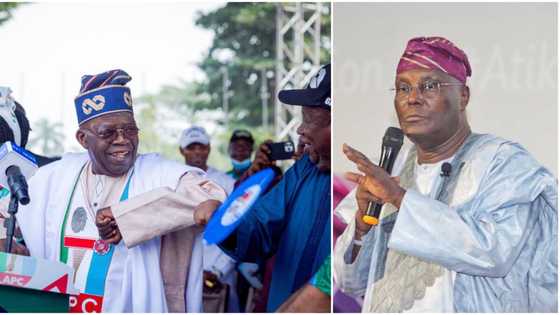 2023 presidency: Atiku sends troubling words to Tinubu after APC's outing in top Arewa state