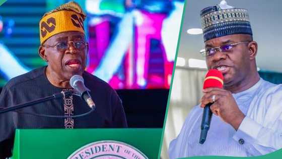 Alaka ta yi tsami tsakanin Tinubu da Yahaya Bello? An ji gaskiyar zance
