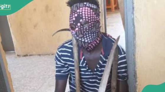 Yan sanda sun cafke wani 'ƙwararren ɓarawon akuya' a Kaduna