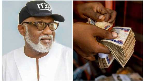 "You're disobeying the law": Akeredolu reveals what will happen if People Continue to Reject old naira notes