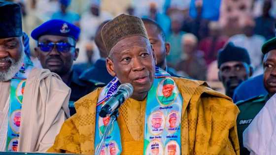 BREAKING: Ganduje declares curfew as NNPP wins Kano, gives reason