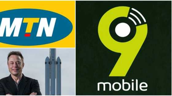 MTN, 9mobile loses 1.37 million data users, months after Elon Musk's Starlink reveals Nigerian market interest