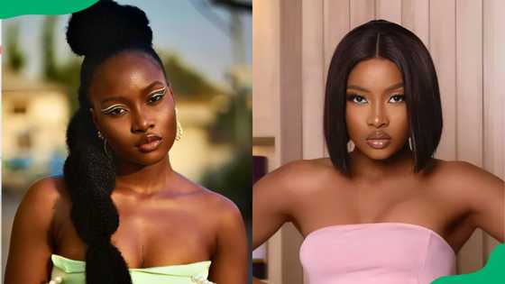 Ilebaye Odiniya from BBNaija: biography, age, state of origin & more