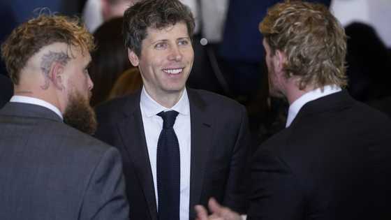 Boom or bubble: How long can the AI investment craze last?