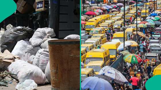 Hours after search announcement, Lagos authorities confirm arrest of waste offender