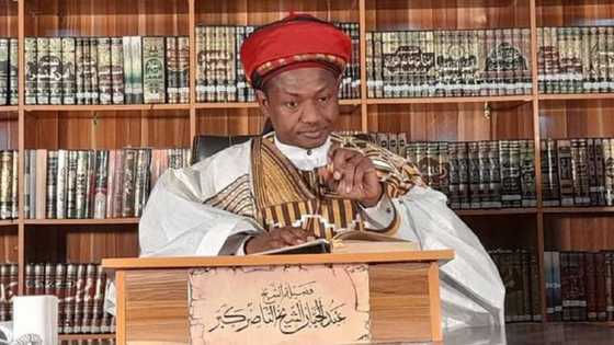 Hukuncin Abduljabbar Kabara: Maganganun Maqary, R/Lemu da wasu Malaman Musulunci