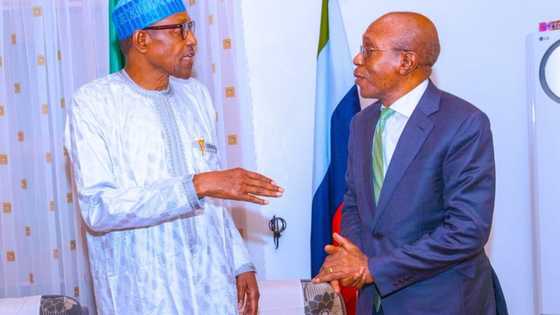 A dakatar da shi: Hadimin Tinubu Ya Bukaci Buhari Ya Dauki Mataki Kan Gwamnan CBN