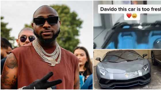 "God please I don't want to be a mechanic": Lady reacts after spotting Davido's Lamborghini, video trends