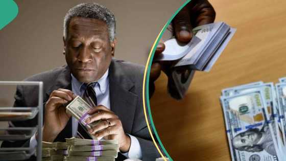 Bureau de Change operators beg CBN for digital autonomy to create 40,000 jobs