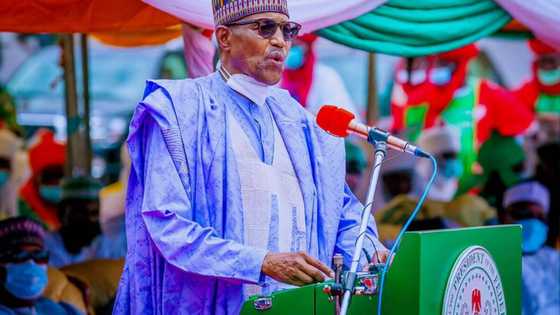 Buhari says he is surprised that large percentage of land in Nigeria has not been used for farming