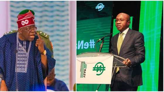 Godwin Emefiele: Does President Bola Tinubu have power to suspend CBN Governor? Nigerian lawyer explains