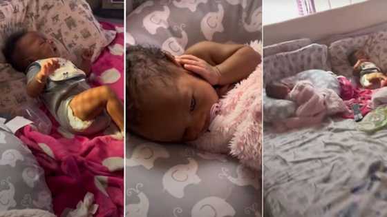 "My baby is already fed up at 3 weeks": Little baby covers her ears as twin brother cries loudly, funny video trends