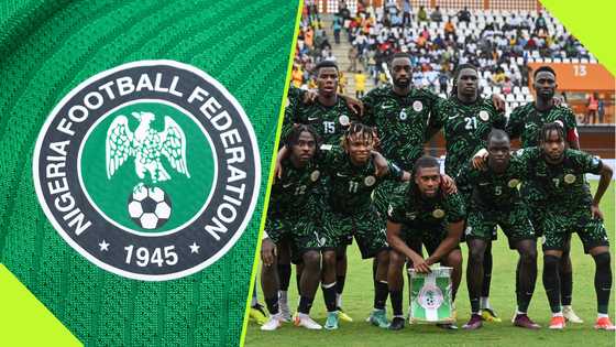 NFF to consider interim coach for Super Eagles ahead of AFCON qualifiers: report