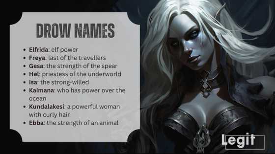 Drow names: Interesting ideas on naming a dark elf DnD character