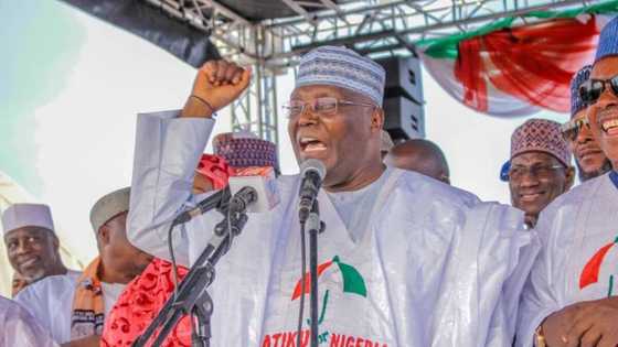Cikin wani sabon salo tare da Kwankwaso jihar Zamfara ta cika ta batse yayin taron yakin zaben Atiku (hotuna)