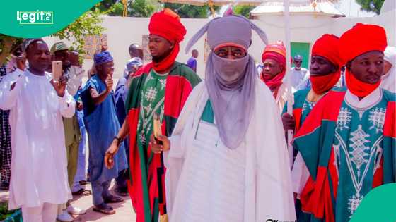 Kano: Duk da janye hawa, fadar Aminu Ado ta fitar da jadawalin shagalin sallah