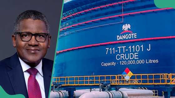 Bayan dawo da su, Dangote ya tura ma'aikatan matatarsa da ya kora Zamfara, Borno