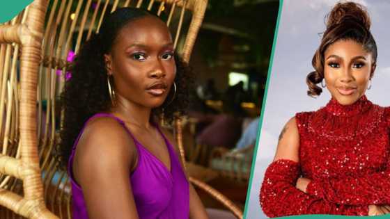BBNaija All Stars organiser releases vote analysis of housemates on show, fans support IIebaye's win